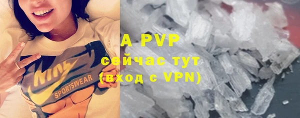a pvp Аркадак