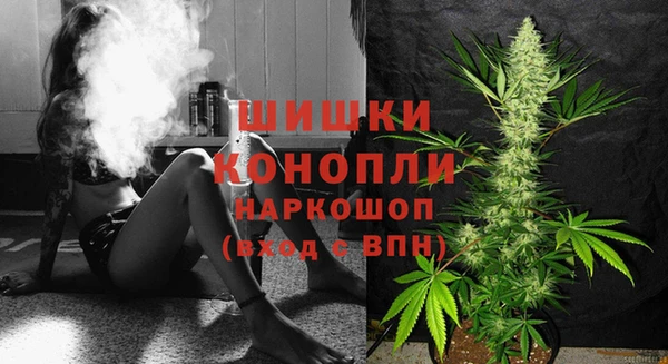 PSILOCYBIN Арсеньев