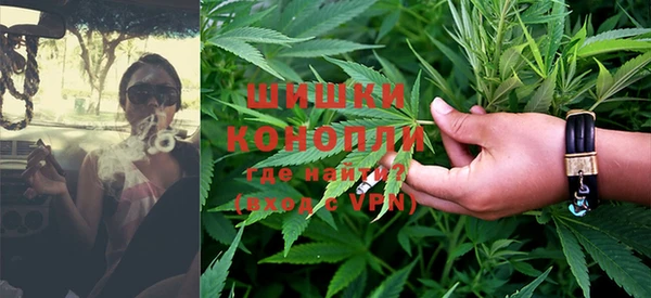 шишки Протвино