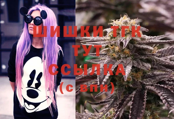 дживик Приозерск